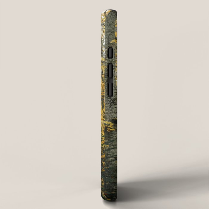 in the autumn forest - trees season nature photograph fall color iPhone Case Gallery Image 2