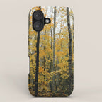 in the autumn forest - trees season nature photograph fall color iPhone Case Gallery Image 1