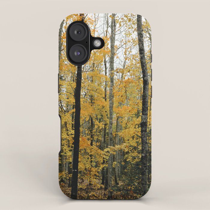 in the autumn forest - trees season nature photograph fall color iPhone Case Gallery Image 1