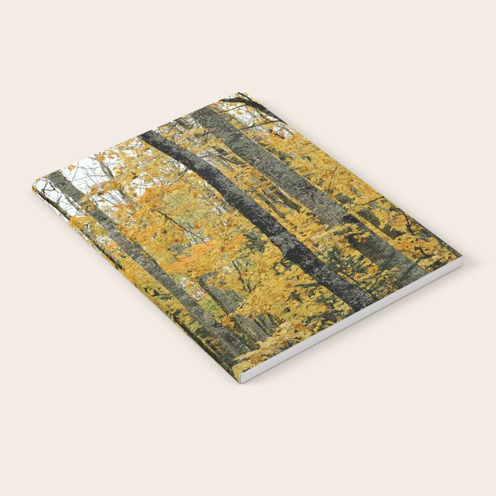 in the autumn forest - trees season nature photograph fall color Notebook Gallery Image 2