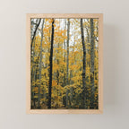 in the autumn forest - trees season nature photograph fall color Mini Art Print Gallery Image 1