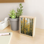 in the autumn forest - trees season nature photograph fall color Mini Art Print Gallery Image 2
