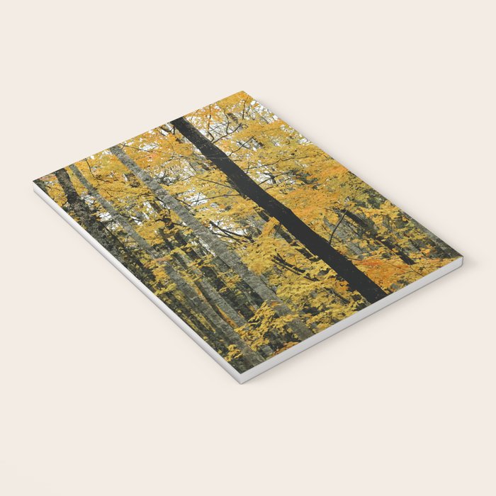 in the autumn forest - trees season nature photograph fall color Notebook Gallery Image 3