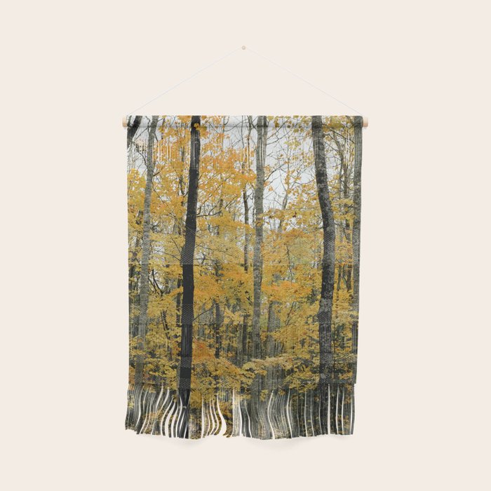 in the autumn forest - trees season nature photograph fall color Wall Hanging Gallery Image 1