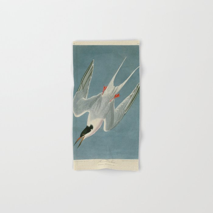 Roseate Tern - John James Audubon Birds of America Bath Towel Gallery Image 1