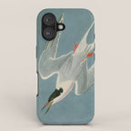 Roseate Tern - John James Audubon Birds of America iPhone Case Gallery Image 1