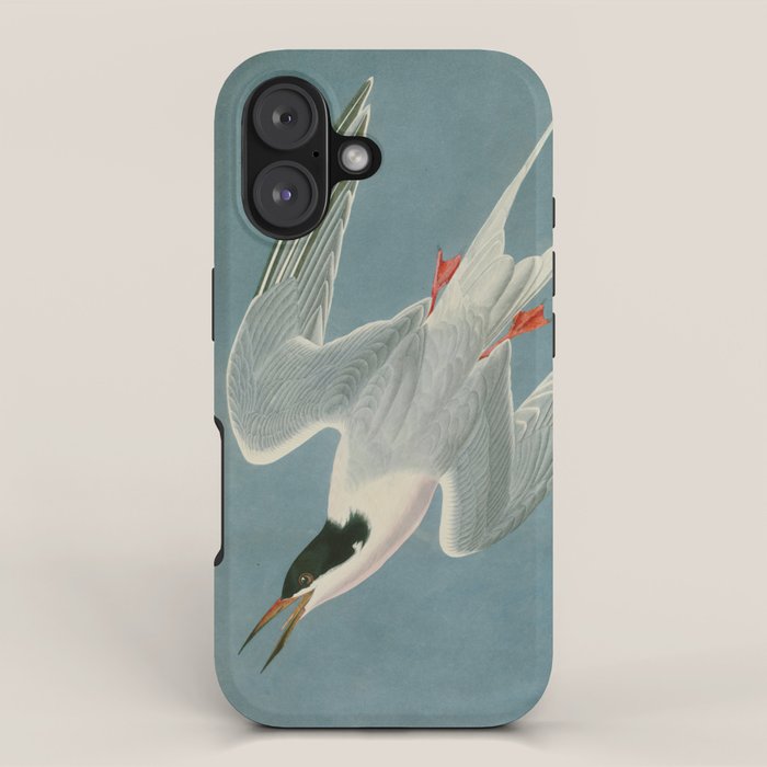 Roseate Tern - John James Audubon Birds of America iPhone Case Gallery Image 1