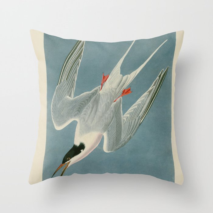 Roseate Tern - John James Audubon Birds of America Throw Pillow Gallery Image 6
