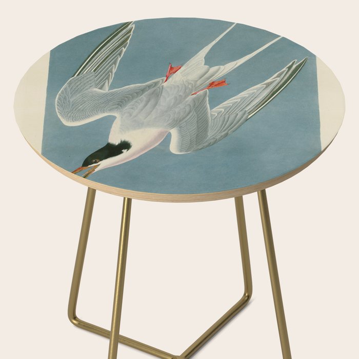 Roseate Tern - John James Audubon Birds of America Side Table Gallery Image 2