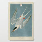 Roseate Tern - John James Audubon Birds of America Cutting Board Gallery Image 1
