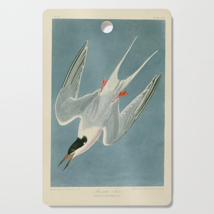 Roseate Tern - John James Audubon Birds of America Cutting Board Gallery Image 1