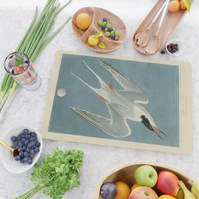 Roseate Tern - John James Audubon Birds of America Cutting Board Gallery Image 2