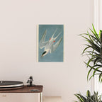 Roseate Tern - John James Audubon Birds of America Poster Gallery Image 2