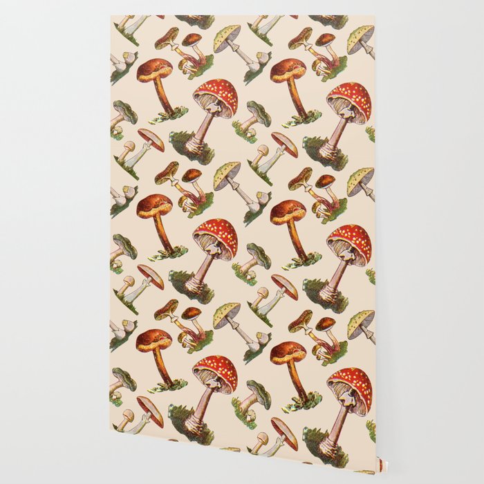 Magical Mushrooms Wallpaper Gallery Image 2