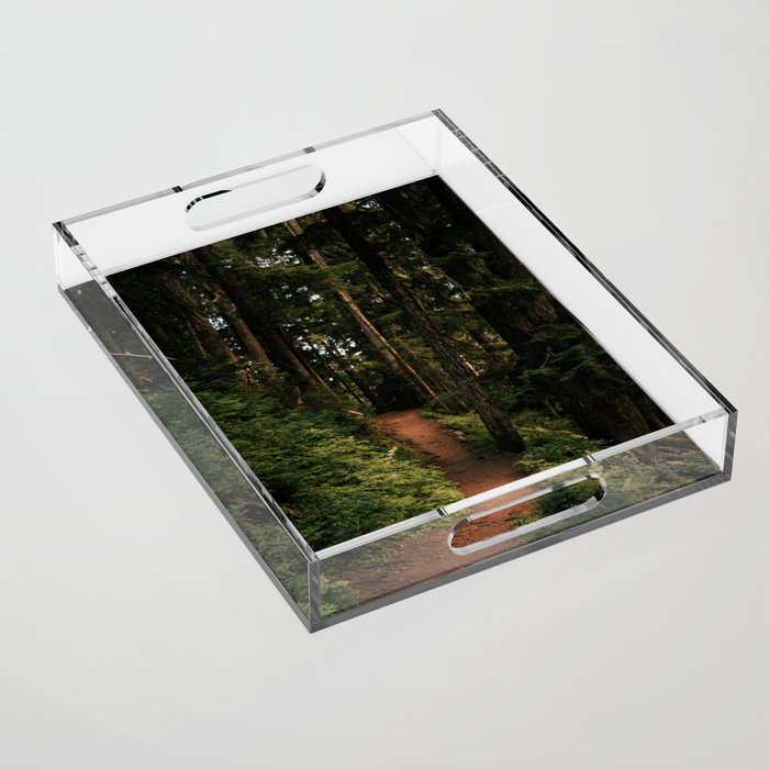 Come With Me II Acrylic Tray Gallery Image 1