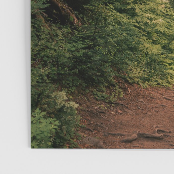 Come With Me II Poster Gallery Image 3