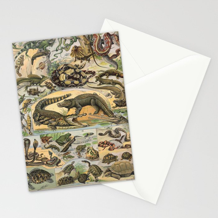 Reptile Illustration - Larousse Stationery Card Gallery Image 2