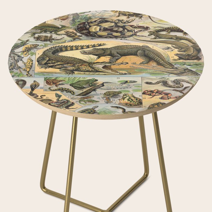 Reptile Illustration - Larousse Side Table Gallery Image 2