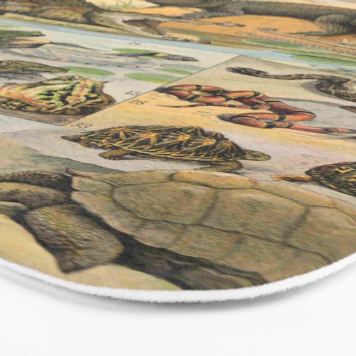 Reptile Illustration - Larousse Bath Mat Gallery Image 3
