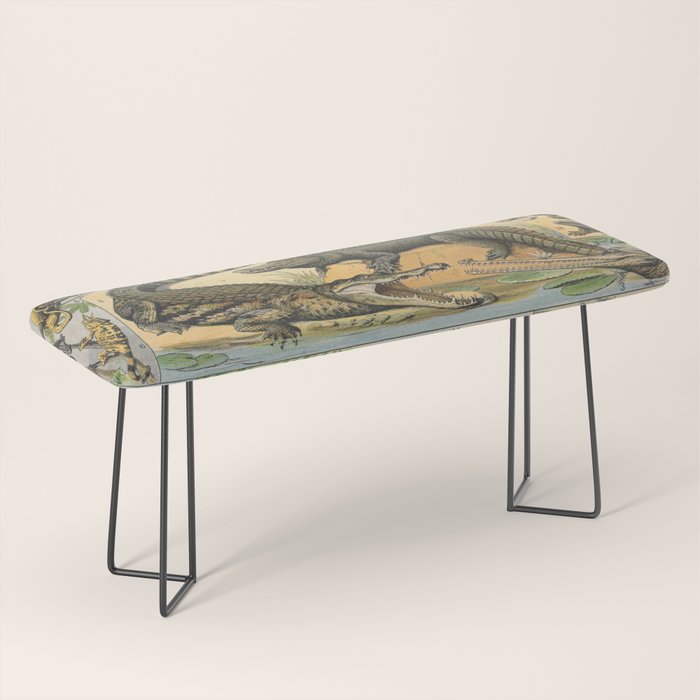 Reptile Illustration - Larousse Bench Gallery Image 1