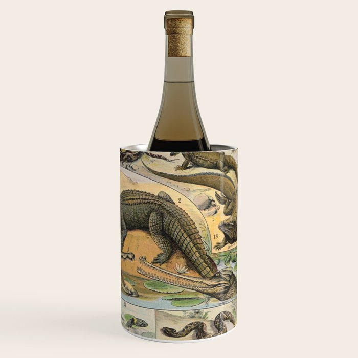 Reptile Illustration - Larousse Wine Chiller Gallery Image 3