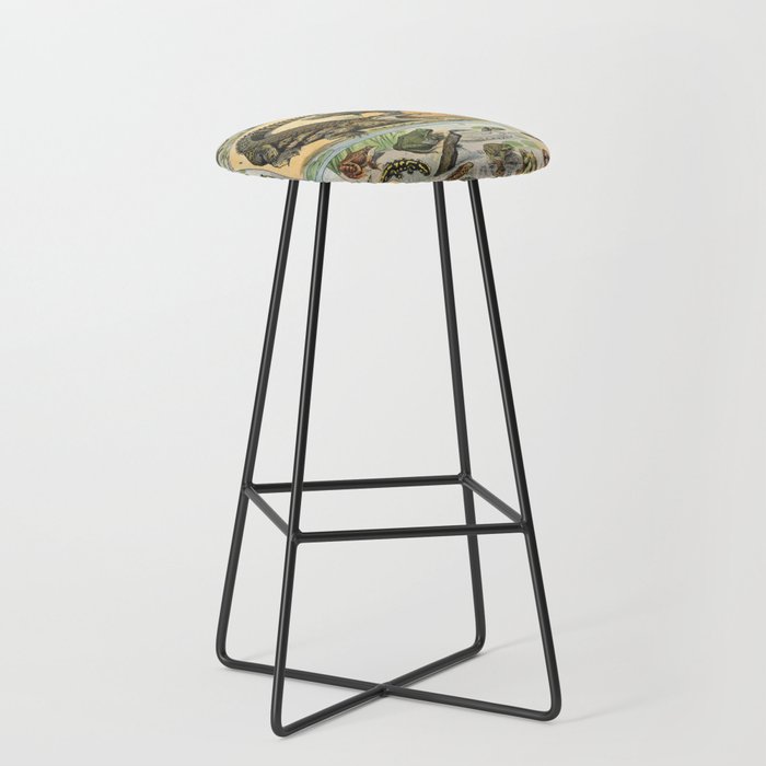 Reptile Illustration - Larousse Stool Gallery Image 1