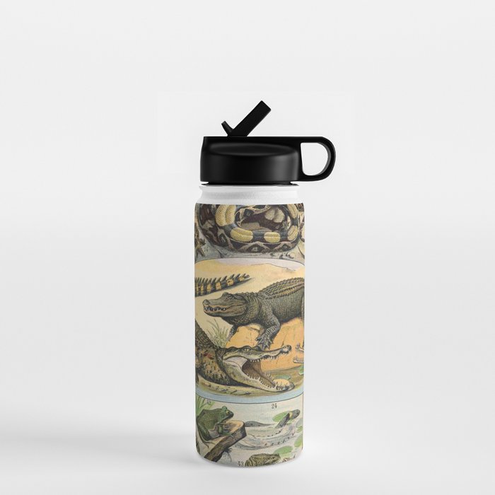 Reptile Illustration - Larousse Water Bottle Gallery Image 1