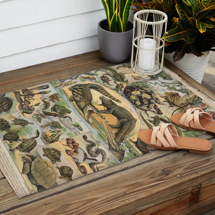 Reptile Illustration - Larousse Outdoor Rug Gallery Image 2