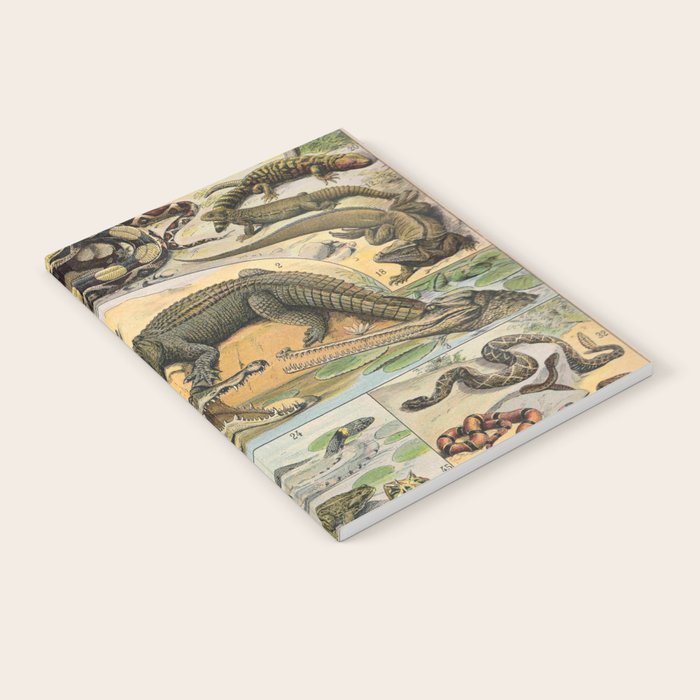 Reptile Illustration - Larousse Notebook Gallery Image 1