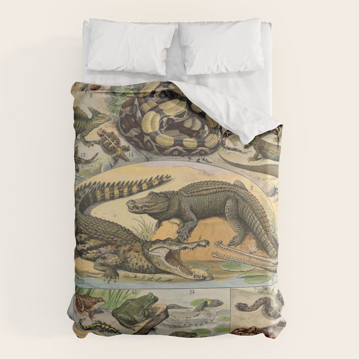 Reptile Illustration - Larousse Duvet Cover Gallery Image 6