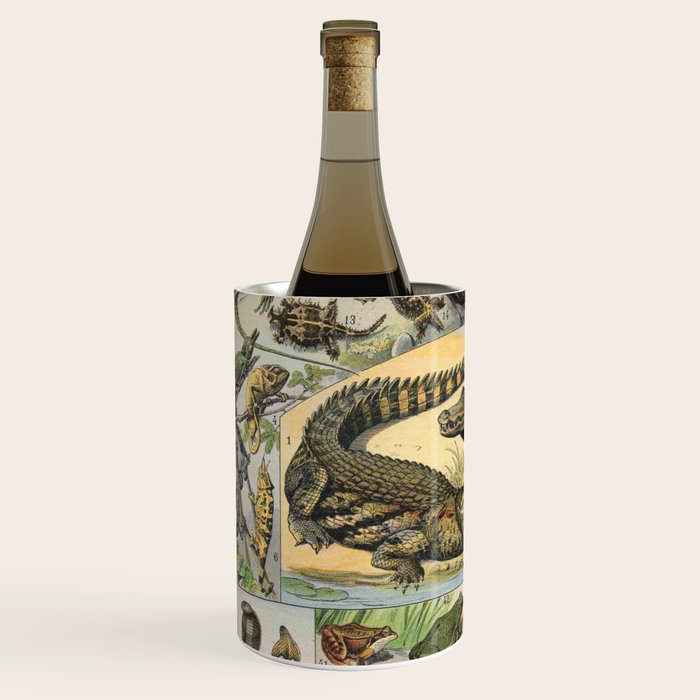 Reptile Illustration - Larousse Wine Chiller Gallery Image 2