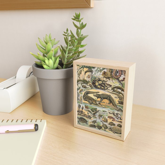 Reptile Illustration - Larousse Mini Art Print Gallery Image 2