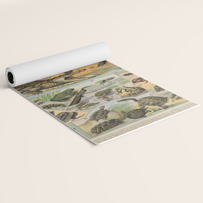 Reptile Illustration - Larousse Yoga Mat Gallery Image 2