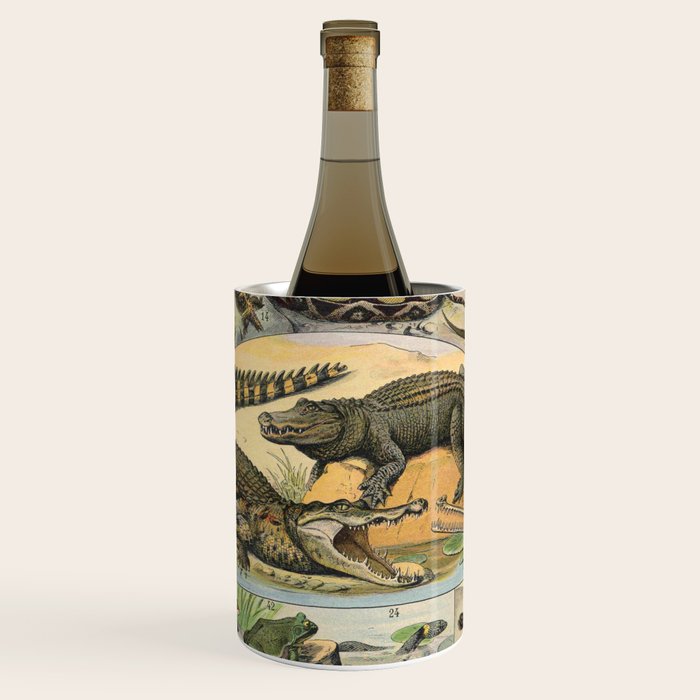 Reptile Illustration - Larousse Wine Chiller Gallery Image 1