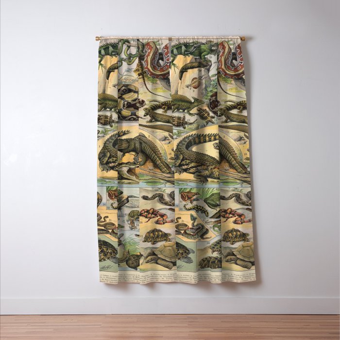 Reptile Illustration - Larousse Window Curtain Gallery Image 3