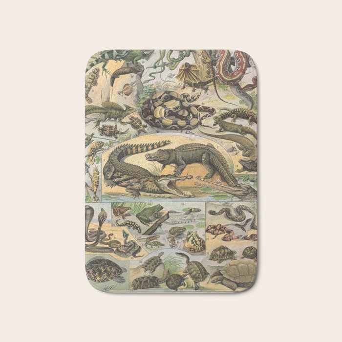 Reptile Illustration - Larousse Bath Mat Gallery Image 1