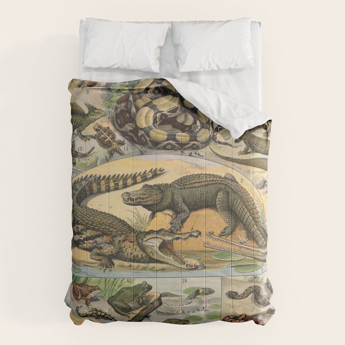 Reptile Illustration - Larousse Comforter Gallery Image 6