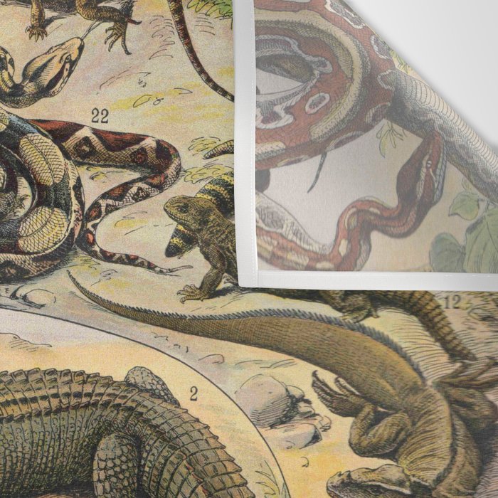 Reptile Illustration - Larousse Wall Tapestry Gallery Image 3