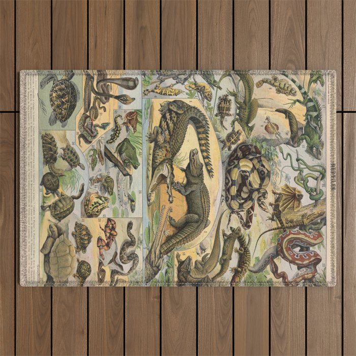 Reptile Illustration - Larousse Outdoor Rug Gallery Image 1