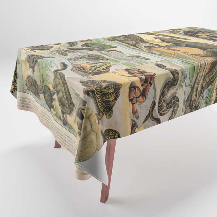 Reptile Illustration - Larousse Tablecloth Gallery Image 1