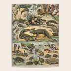 Reptile Illustration - Larousse Poster Gallery Image 4