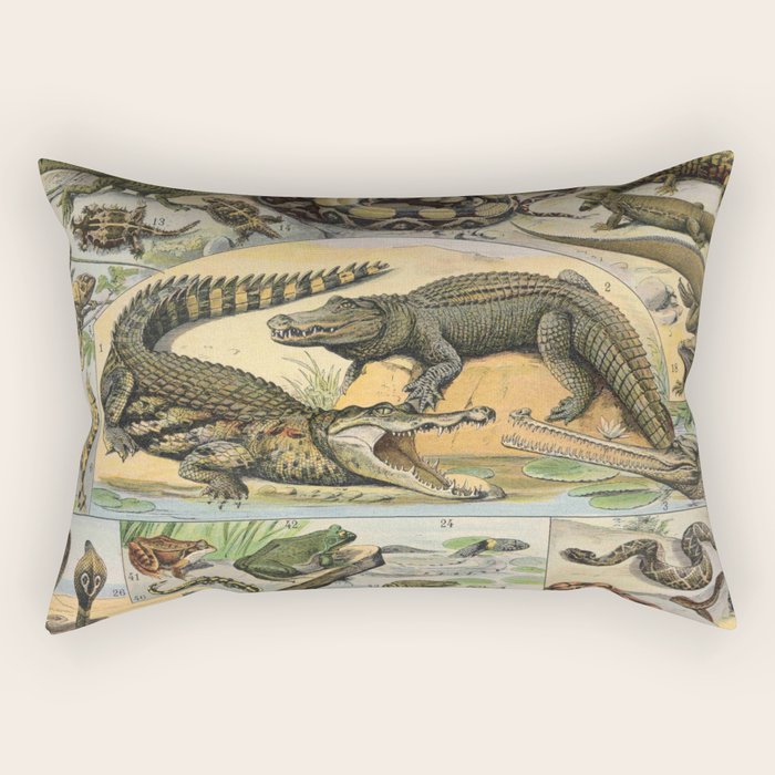 Reptile Illustration - Larousse Rectangular Pillow Gallery Image 2