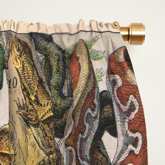 Reptile Illustration - Larousse Window Curtain Gallery Image 2