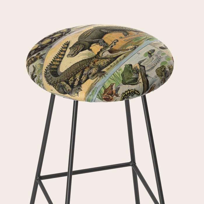 Reptile Illustration - Larousse Stool Gallery Image 2
