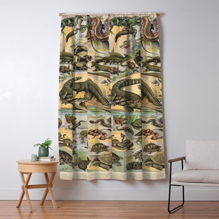 Reptile Illustration - Larousse Window Curtain