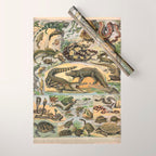 Reptile Illustration - Larousse Wrapping Paper Gallery Image 1