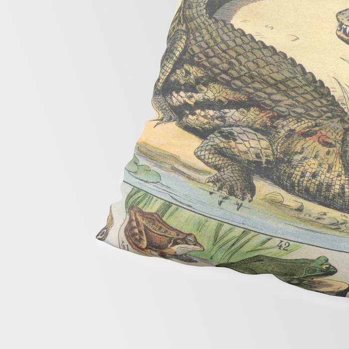Reptile Illustration - Larousse Pillow Sham Gallery Image 4