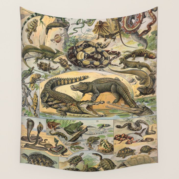 Reptile Illustration - Larousse Wall Tapestry Gallery Image 1