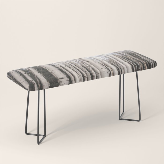 Tall Birch Forest Bench Gallery Image 1