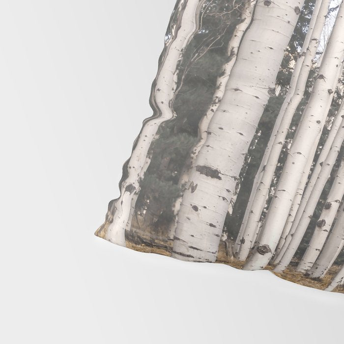 Tall Birch Forest Pillow Sham Gallery Image 4